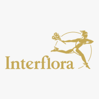 Interflora Campo Maior